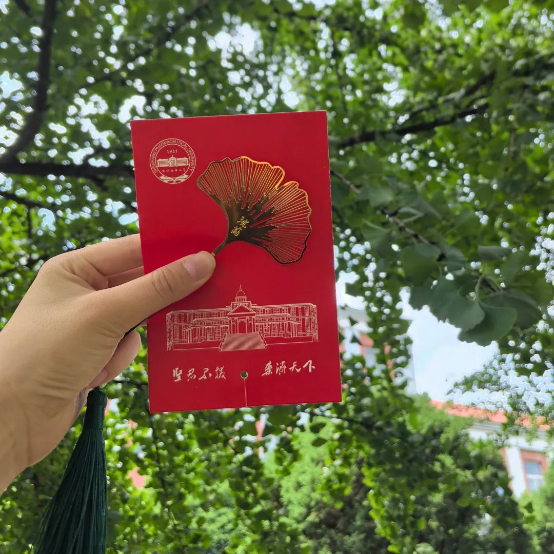 纸笺中的墨香