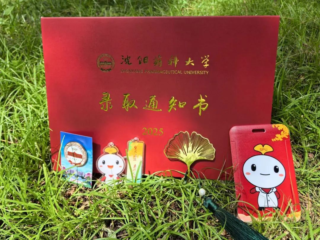 当夏风吻过沈水岸边的朝阳