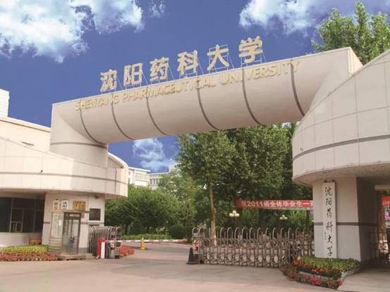 沈药版《小幸运》