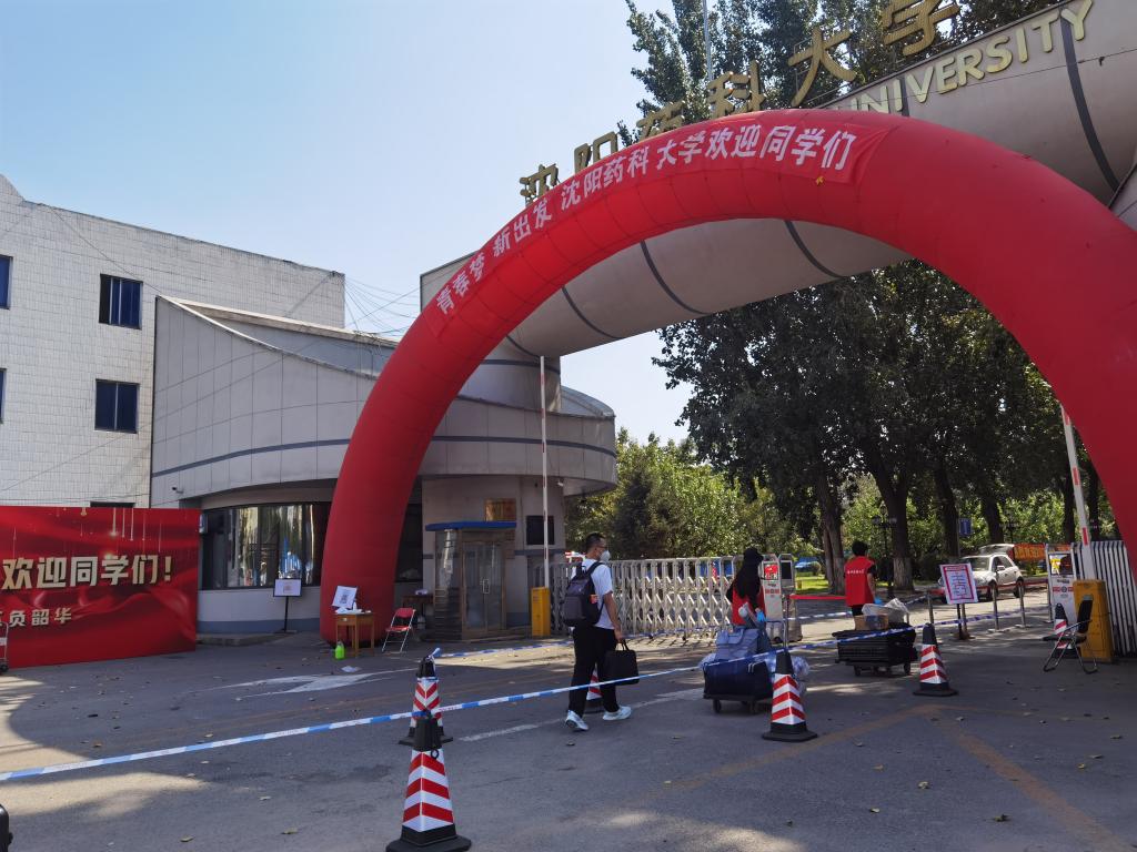 校园网 浏览次数