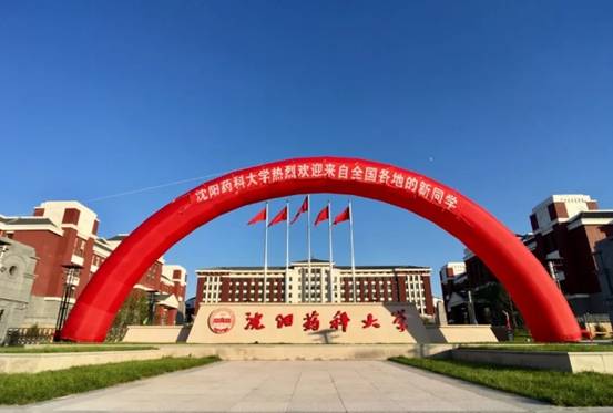 谨以此曲献给我的沈药