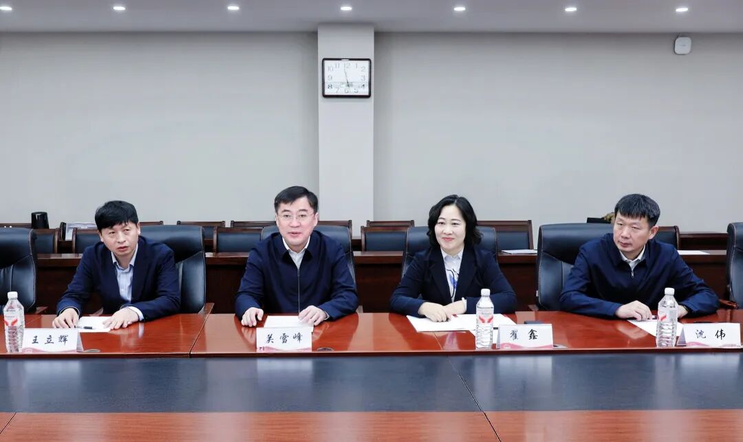 高级副总裁