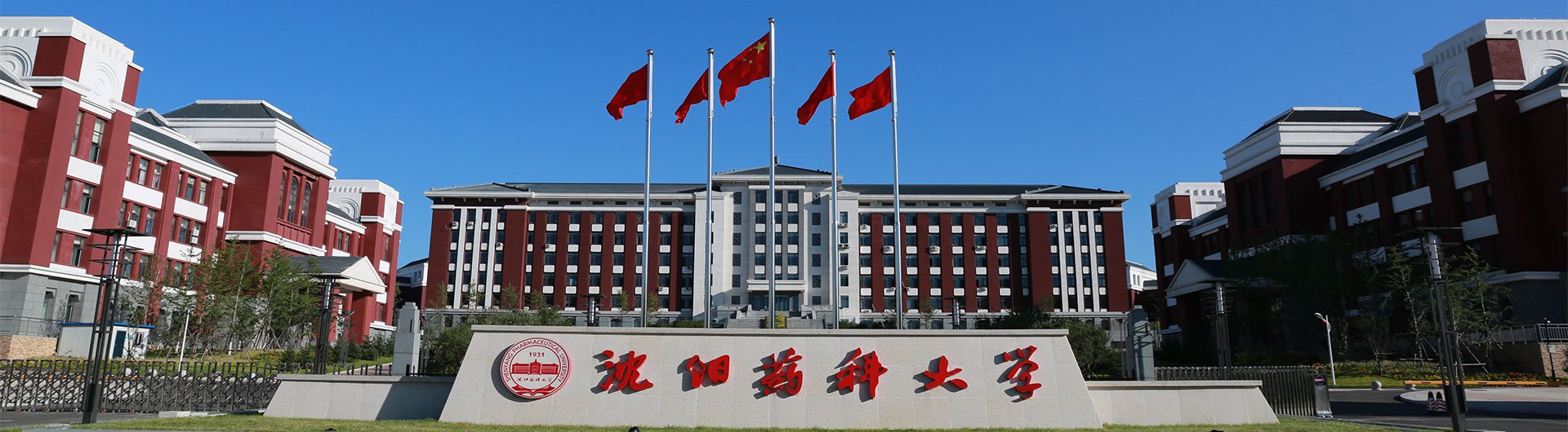 世界杯平台官网玩法说明成功举办202